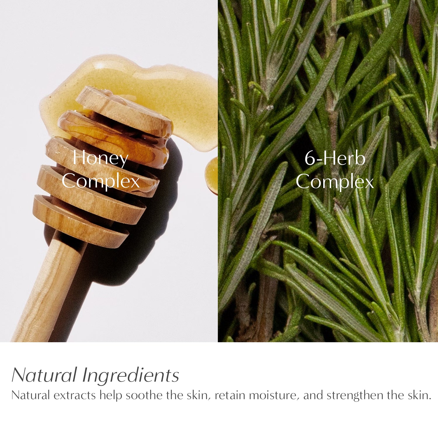 Moisturizing Perfume Body Wash & Lotion No.10 October Woody Set (16.9 fl oz)