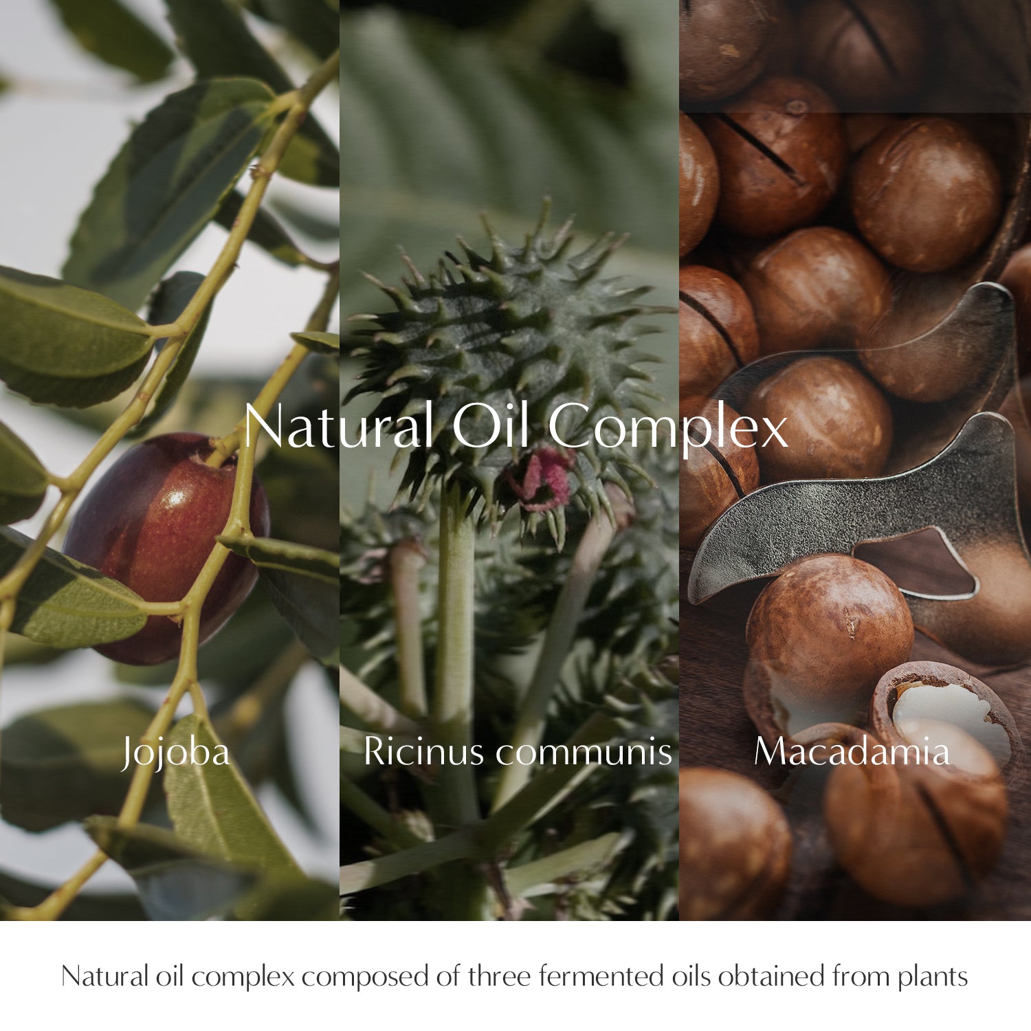 Perfume Body Lotion No.49 Peach Blossom (16.9 fl oz)