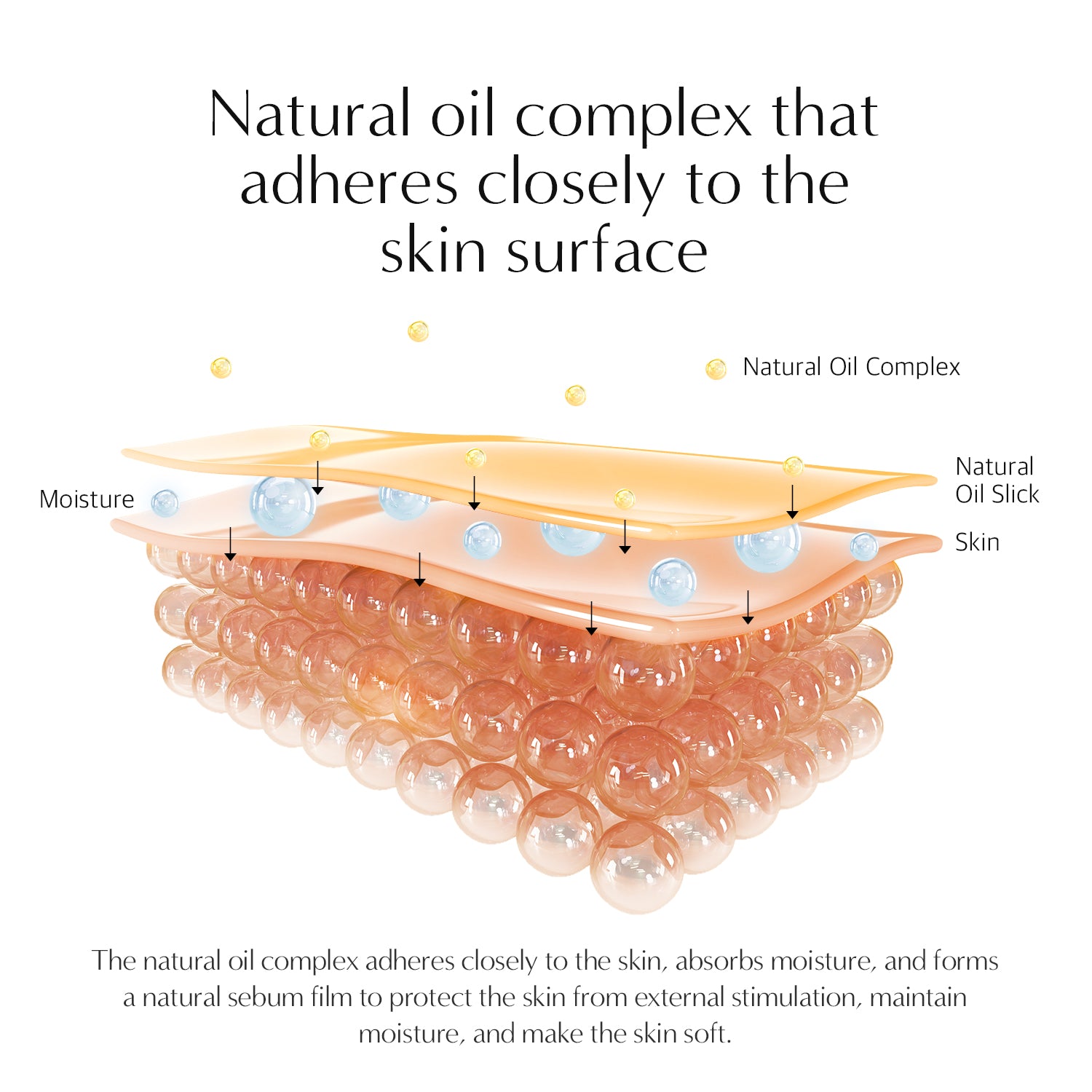 Perfume Body Lotion No.49 Peach Blossom (16.9 fl oz)