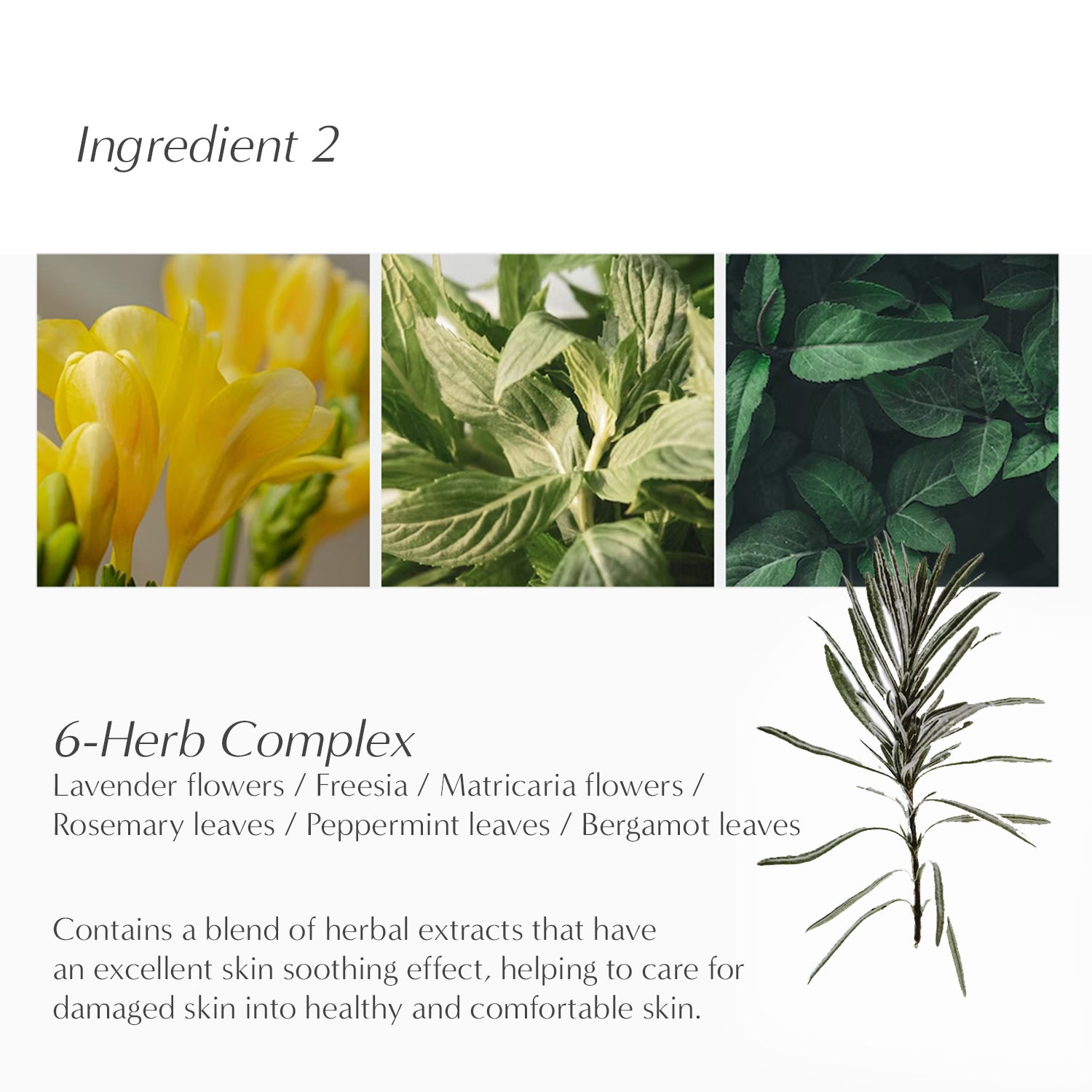 Perfume Bubble Hand Wash Set (2ea x 10.1 fl oz)