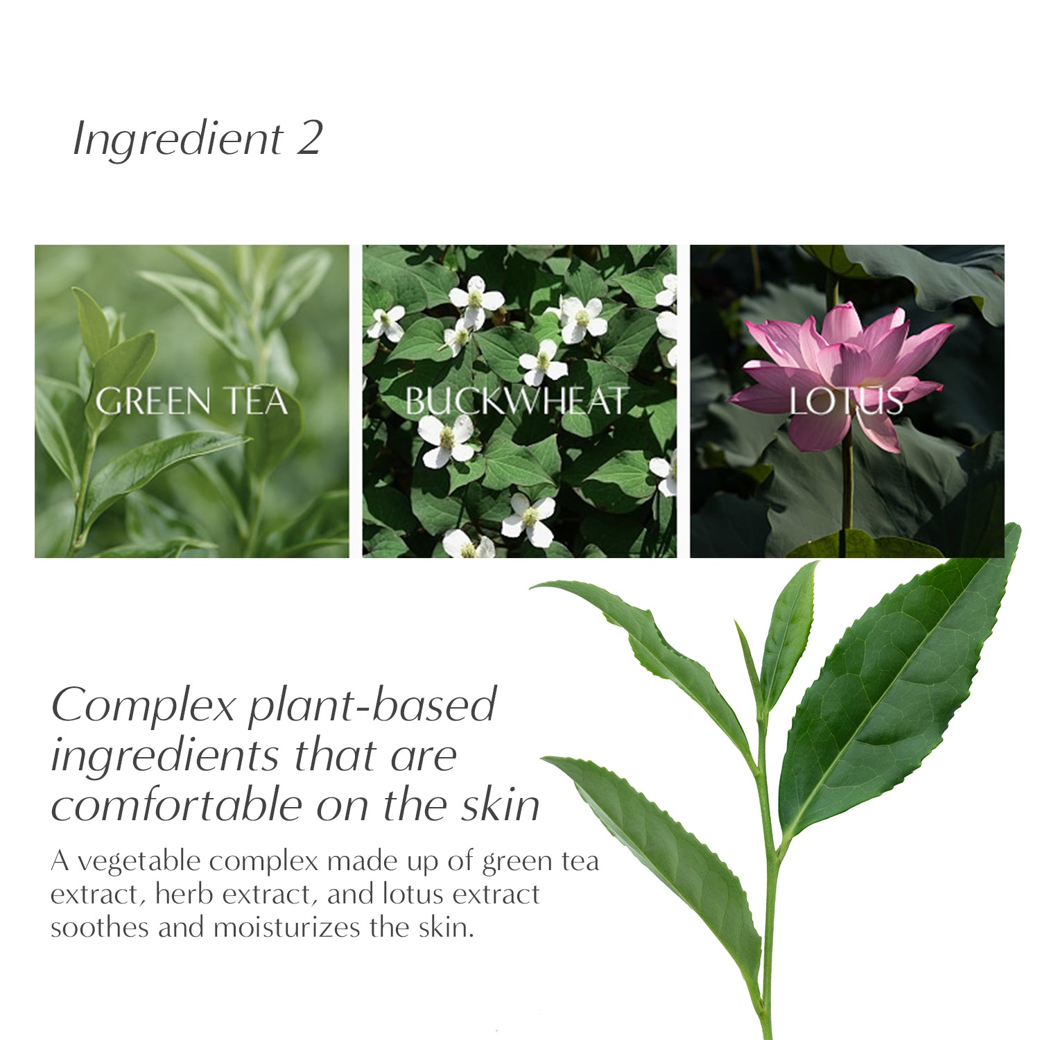 Perfume Hand Lotion No.97 April Cotton (9.46 fl oz)